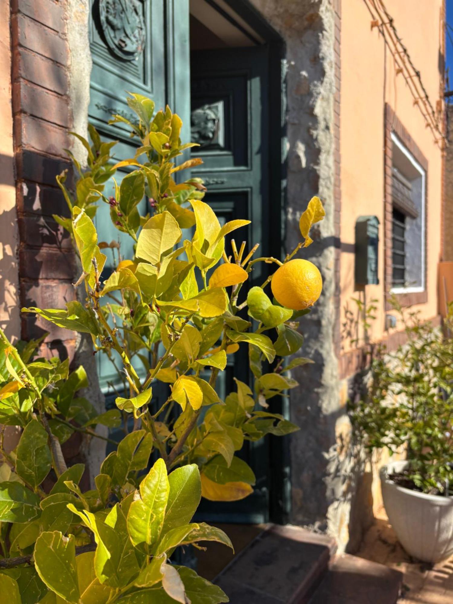 ייסטה Casa Rural Con Encanto Senorio Manchego Albacete מראה חיצוני תמונה